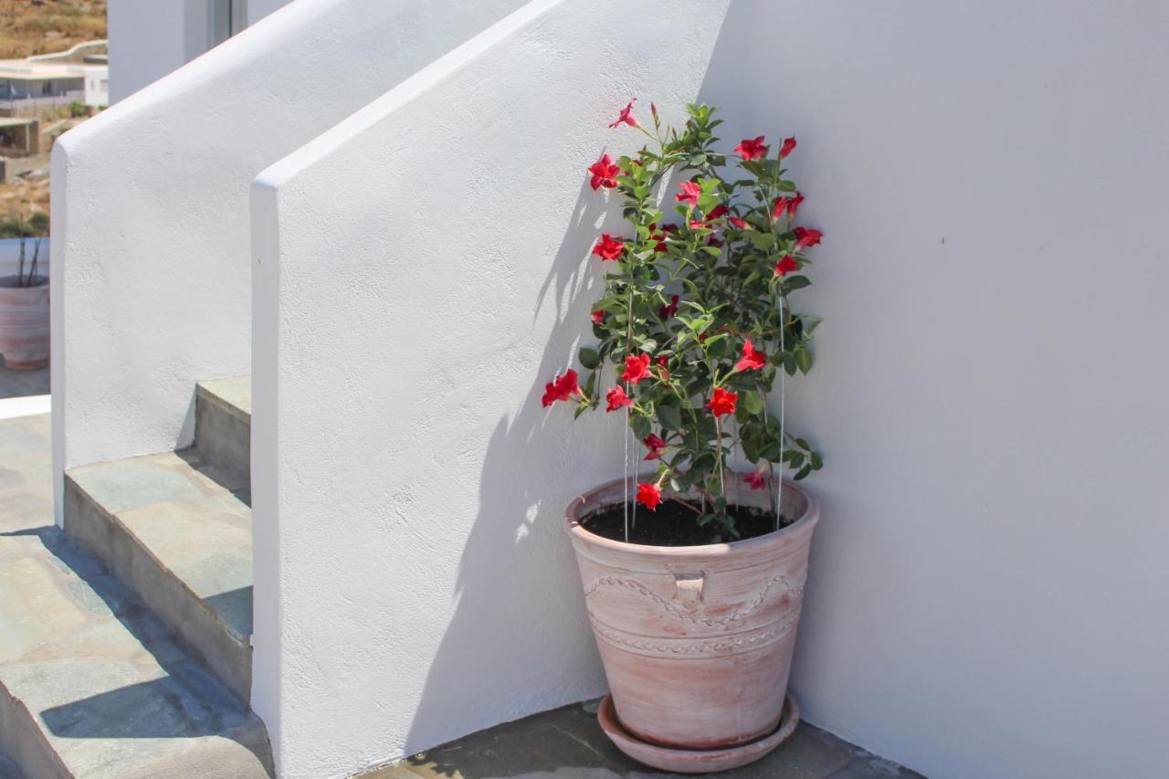 Crystal View Mykonos Aparthotel Mykonos Town Exterior foto